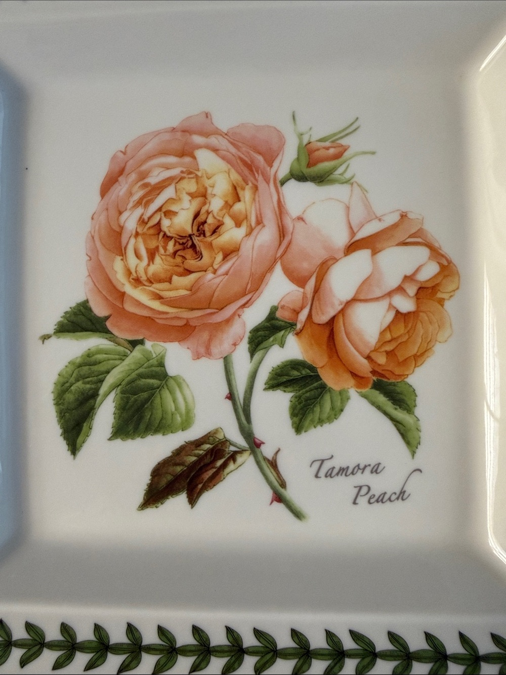 Portmeirion Botanic Roses Plate - Picture 2 of 6
